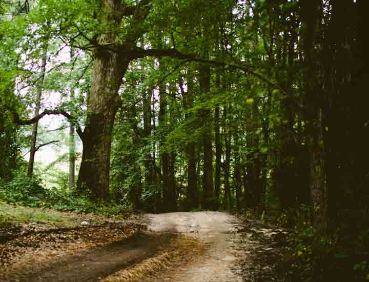 攻击网站的方法