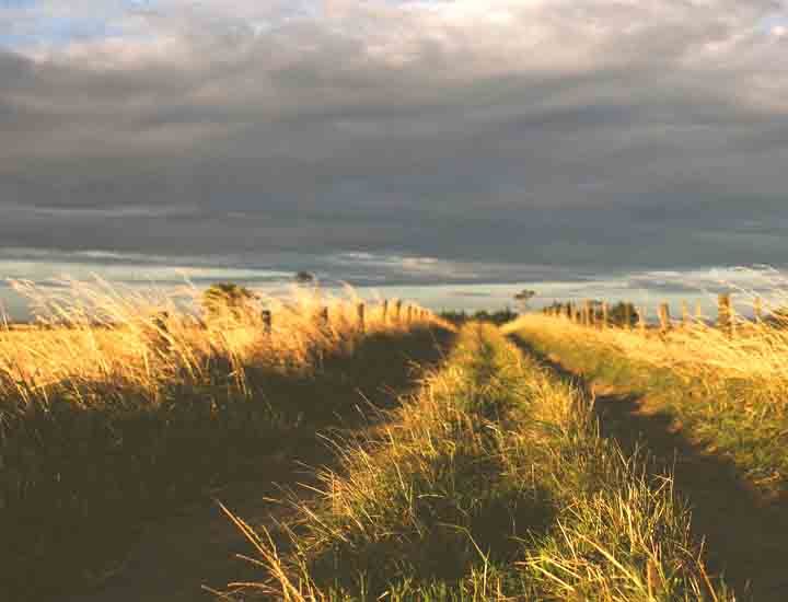 DDOS在线压力测试